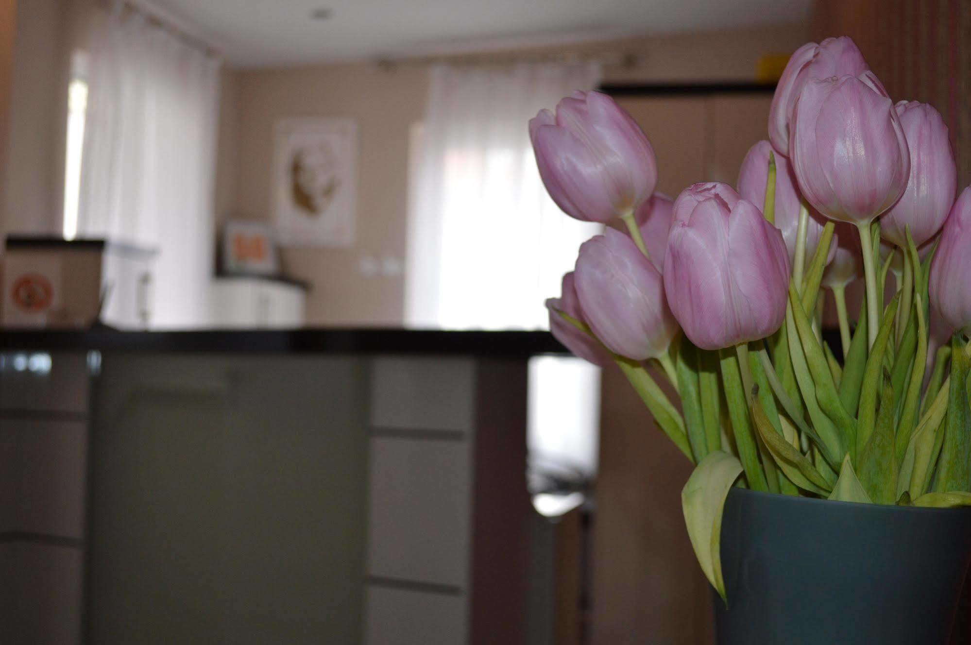 Erde Hotel Erlangen Kültér fotó